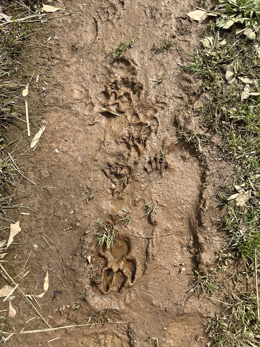 della🫧 tweet media