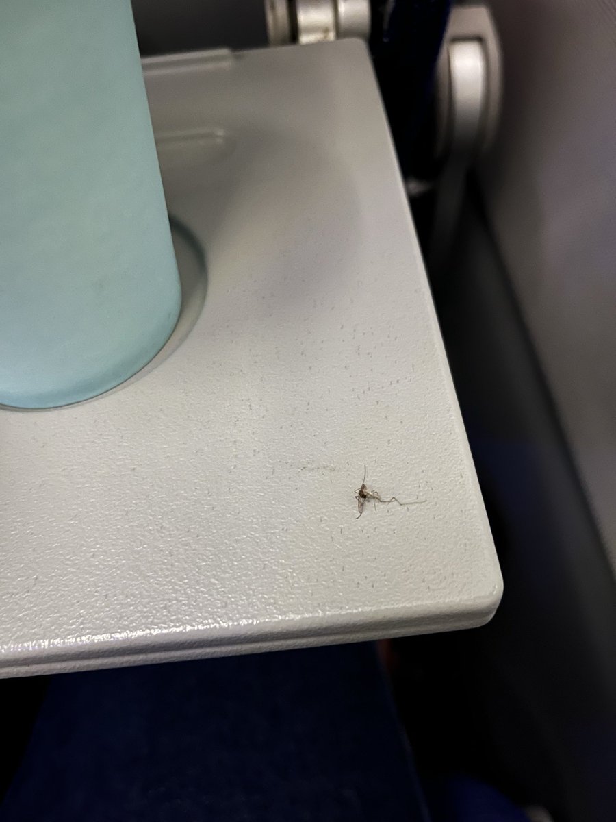 Monu Singh tweet media