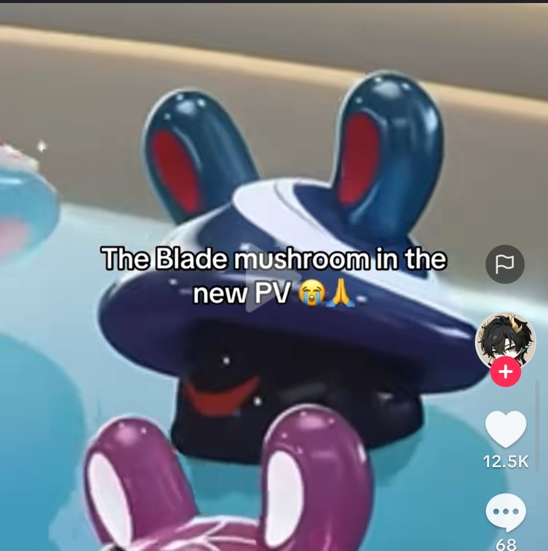 Bladieswifiesss tweet media