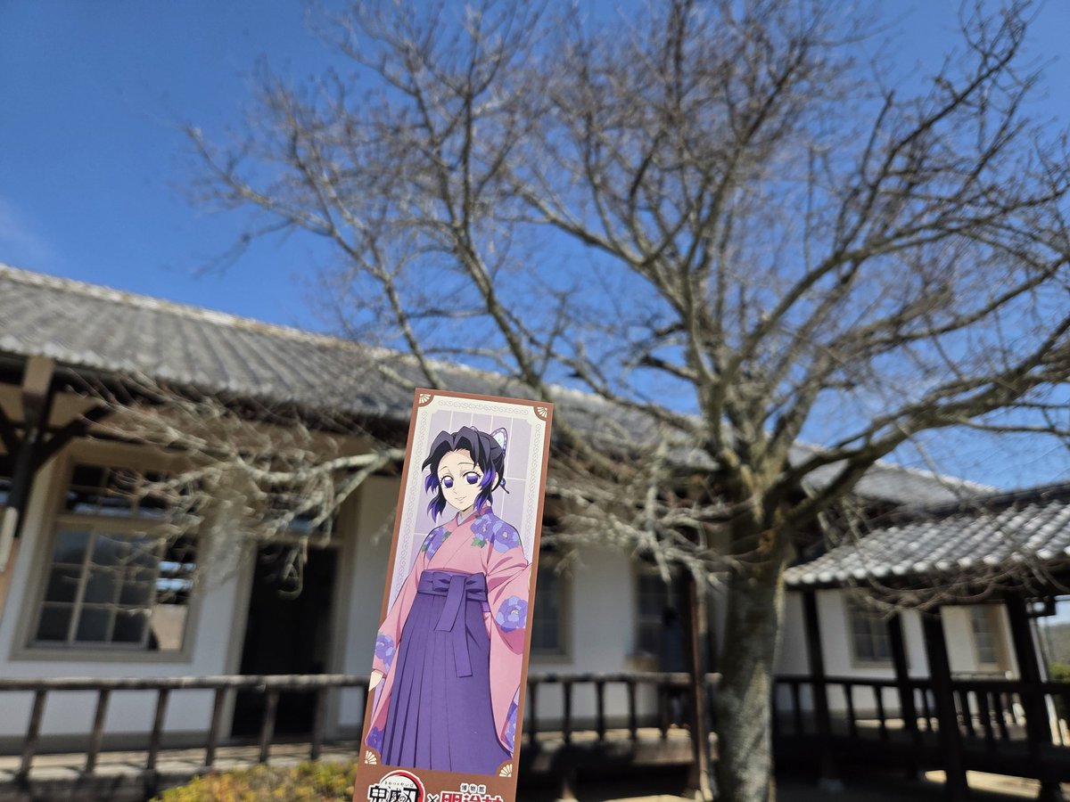 庭に桜の木がある病院 🦋屋敷の必勝桜みたい しっかり見てなかったから定かではないのですが、多分少し遅めに咲く八重桜だったような🤔違ってたらスミ ...