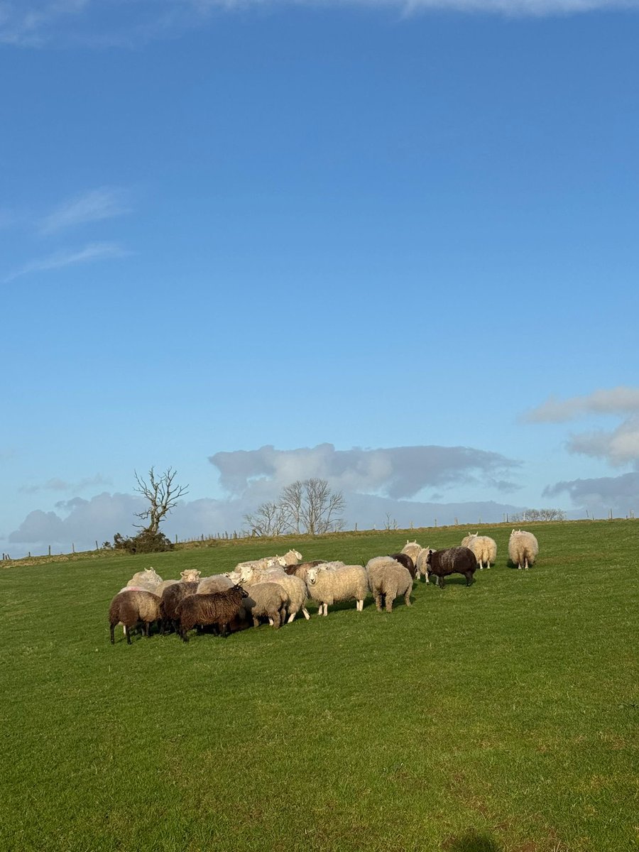 Aled Johnson tweet media