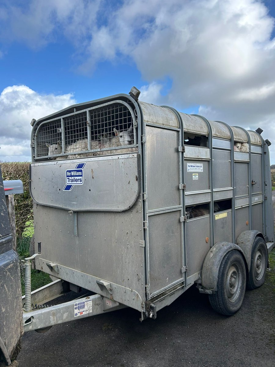 Aled Johnson tweet media