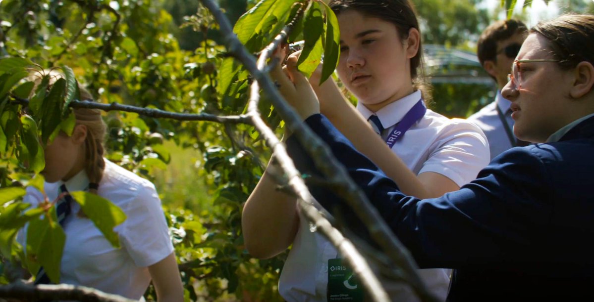 Research in Schools tweet media