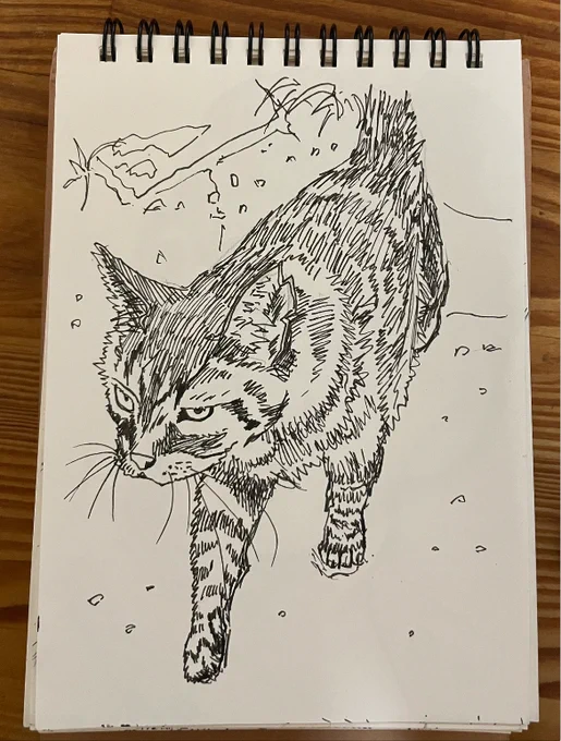 #これを見た人はアナログ絵とデジタル絵を貼ってください 