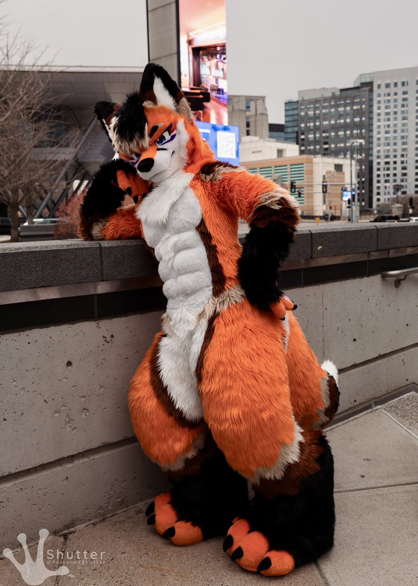 Blaze 🔜 TFF, LVFC, FWA tweet media