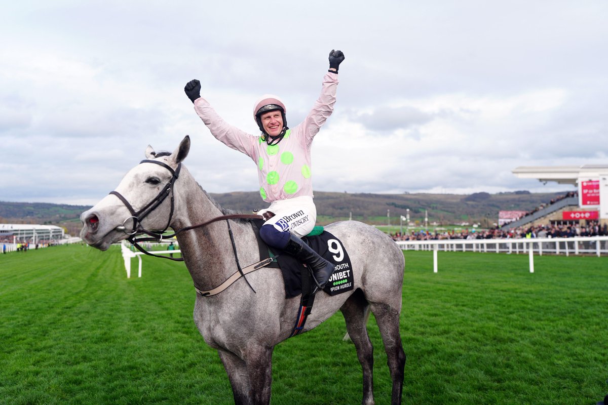 HorseRacing.net tweet media