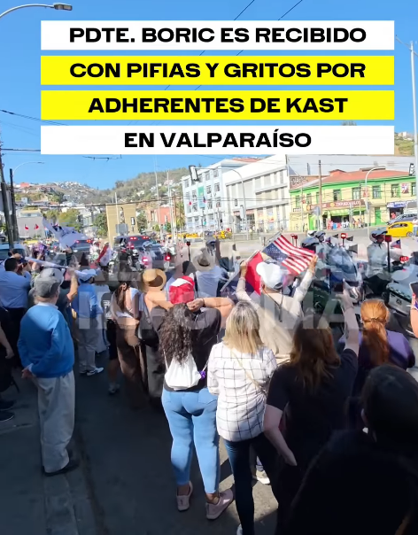 GullitDelBulla tweet media