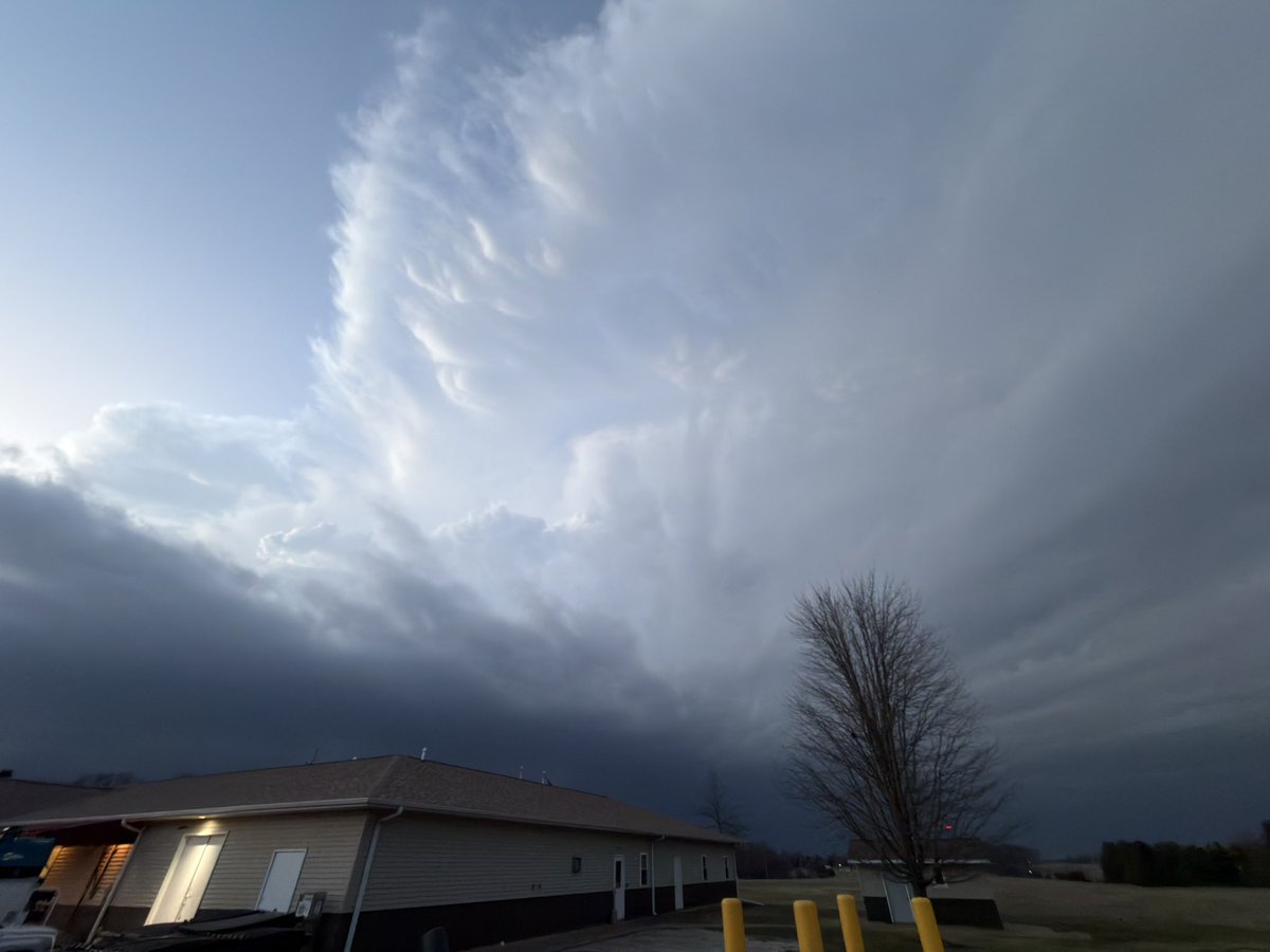 Ryan Scholl |-/ tweet media