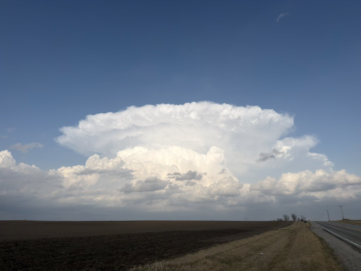 Ryan Scholl |-/ tweet media