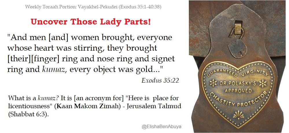 Elishabenabuya's tweet image. In this week's #Torah portion, there's a piece of Jewelry called a "kumaz" that is never explained, and each translation has its own take on it.

One of my favorites!:

#Vayakhel
#EBAMeme