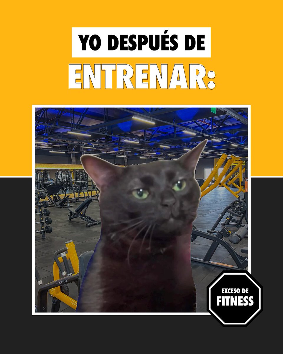 SmartFitPy tweet media