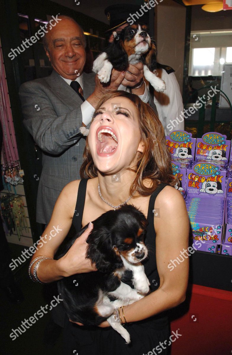 kate michelle gellar tweet media