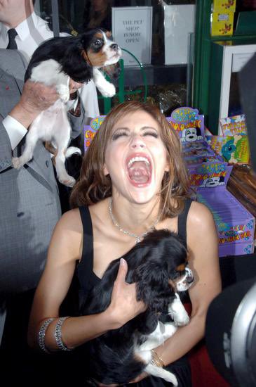 kate michelle gellar tweet media