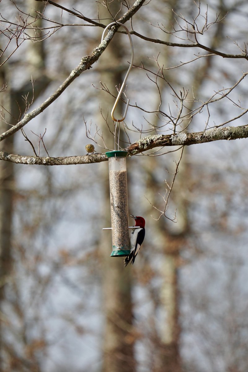 Jim Cramer tweet media