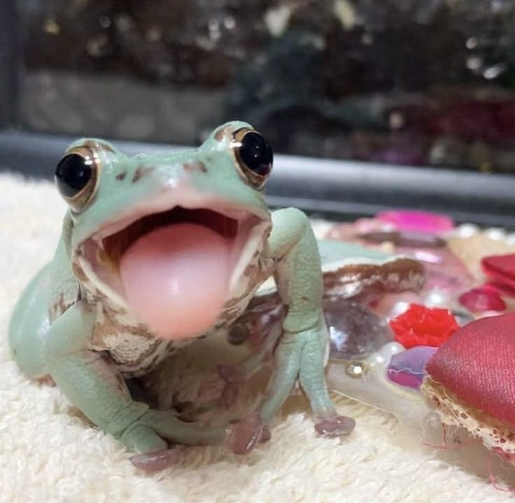 A prima do <a href="/AcoLyonel/">Aço Lyonel</a> é da zoeira!!!