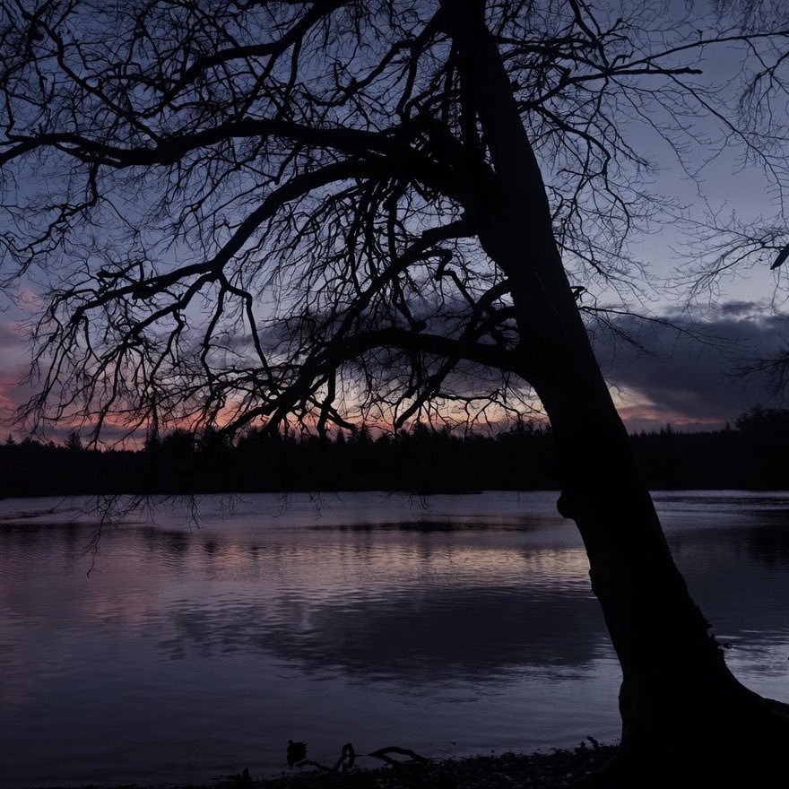 Steven morgan tweet media