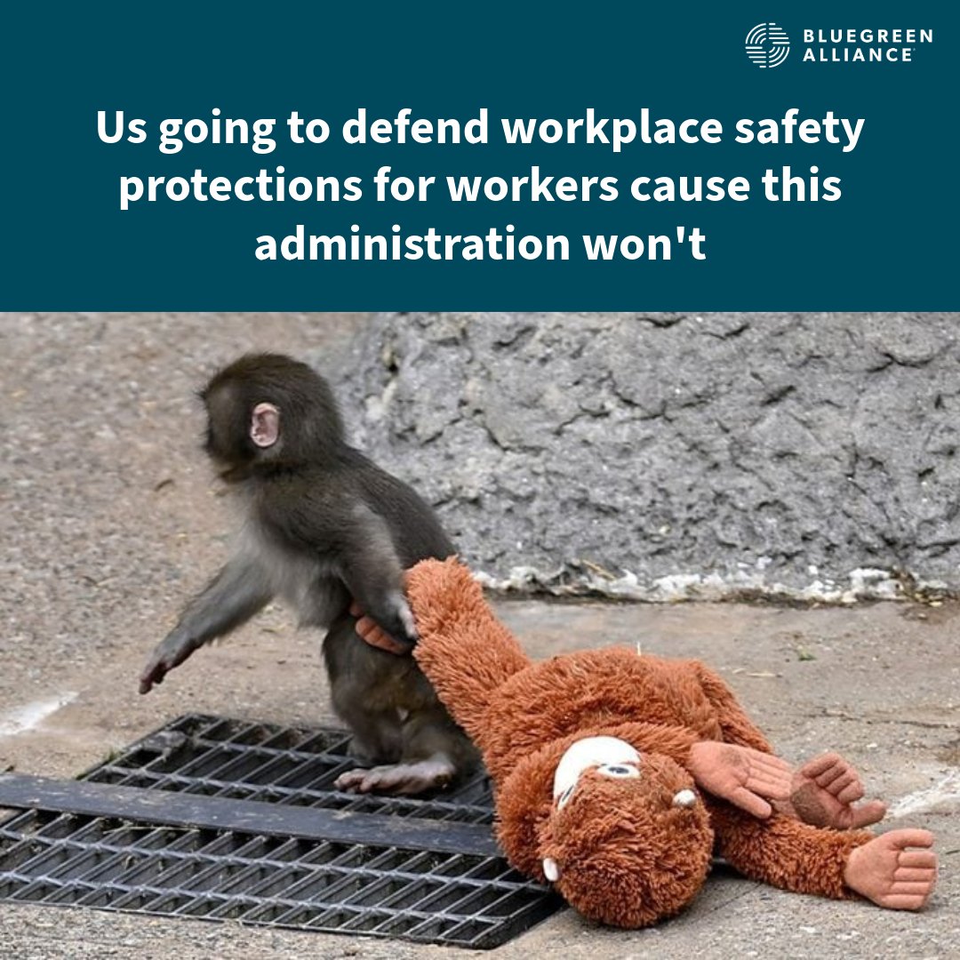 BlueGreen Alliance tweet media