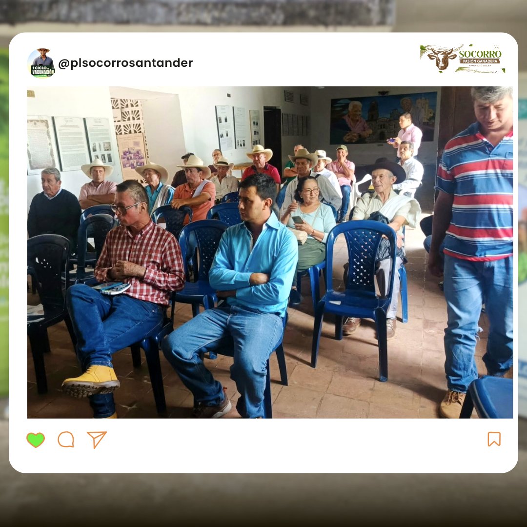 Proyecto Local Socorro Pasión Ganadera tweet media