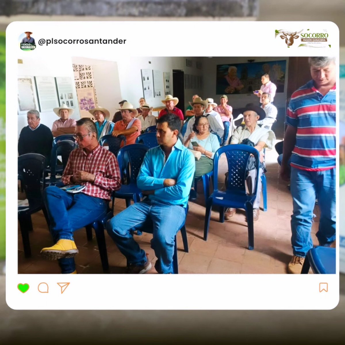 Proyecto Local Socorro Pasión Ganadera tweet media