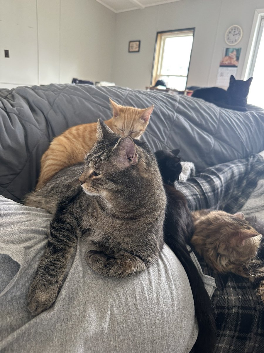 RG | Combat_Vet_Iraq 🇺🇸🪖 tweet media