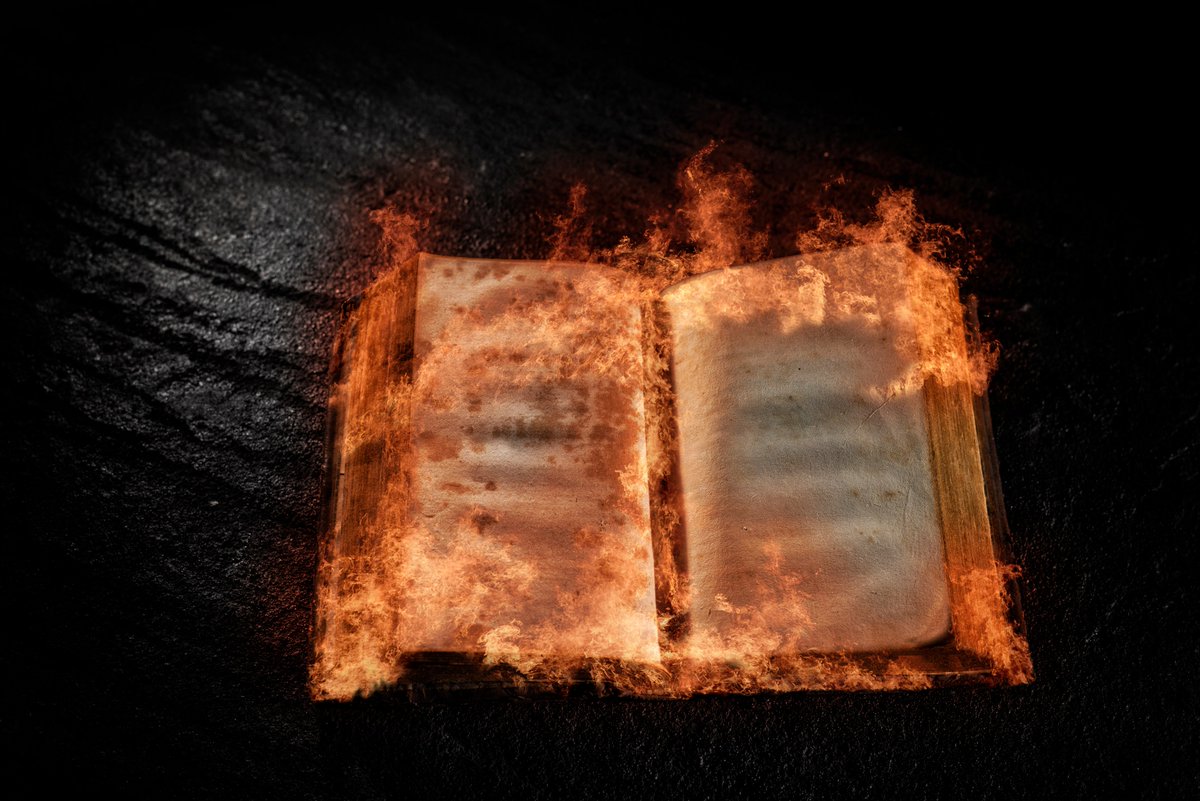 LindellTV tweet media