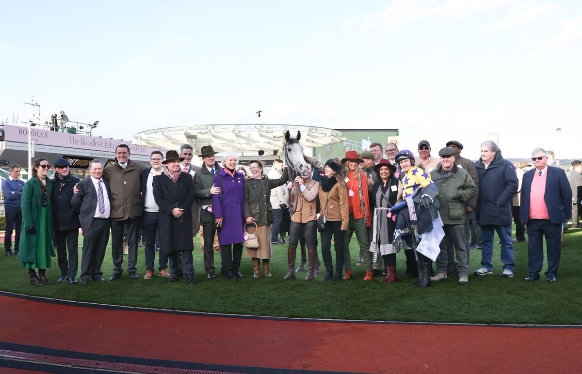 Willie Mullins tweet media