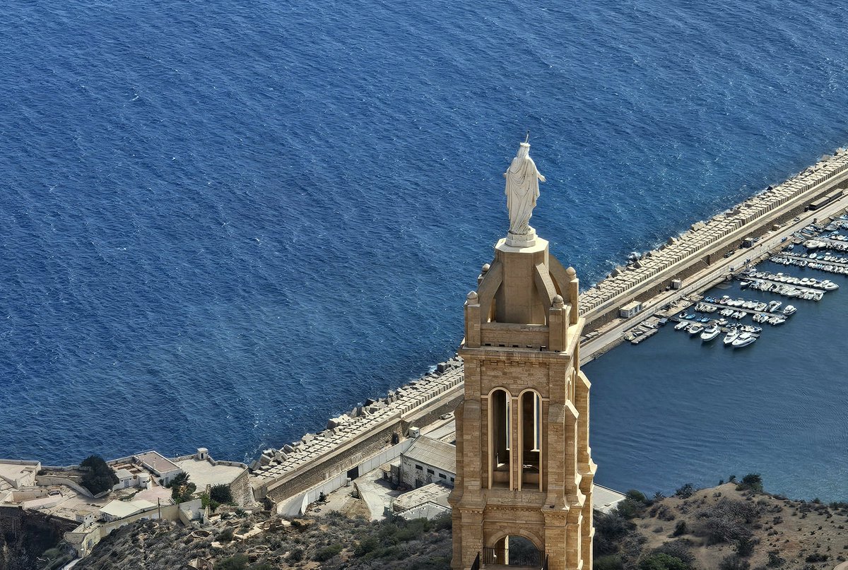 Untamed Borders tweet media