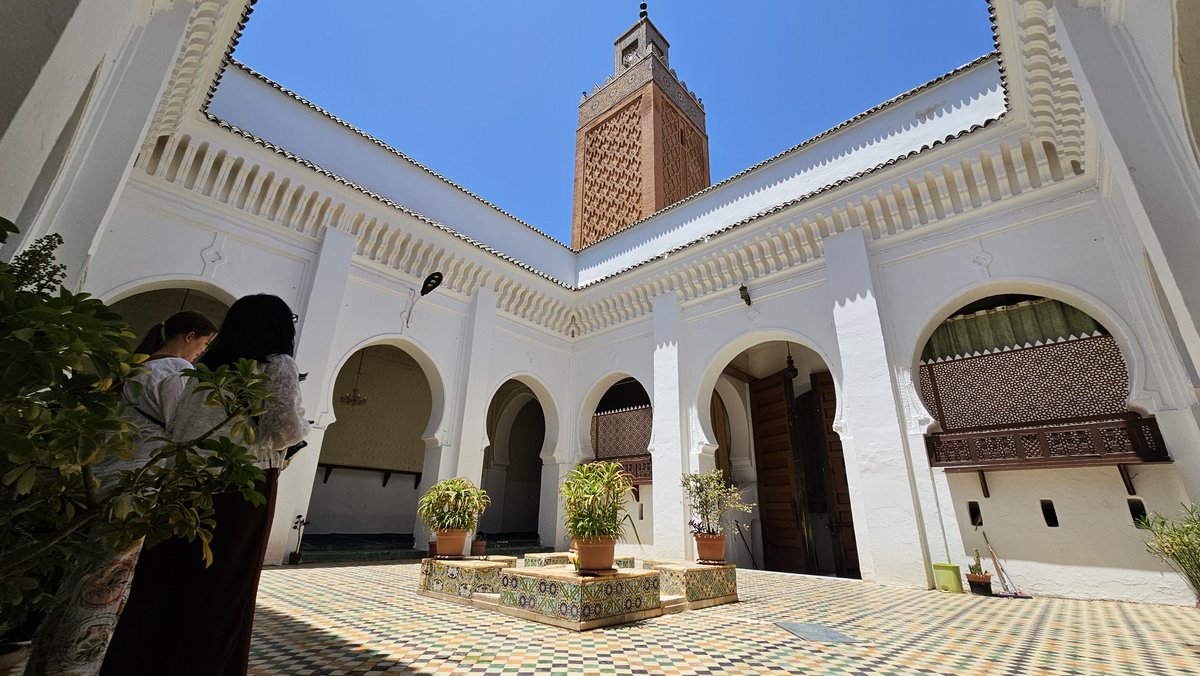 Untamed Borders tweet media