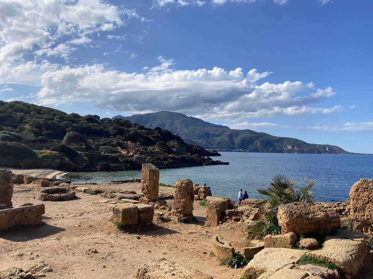 Untamed Borders tweet media