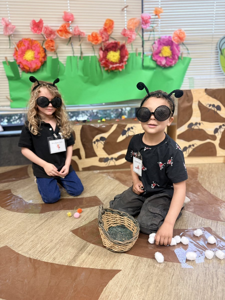 aerica plewa ☀️ tweet media