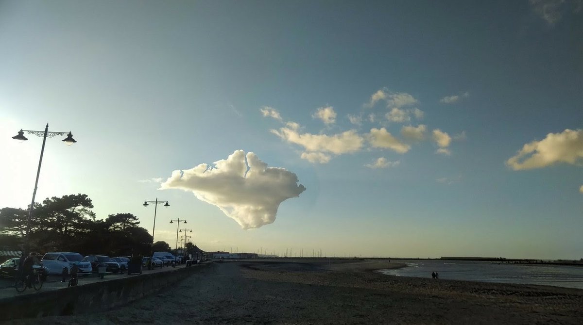 Wayne Whittle tweet media