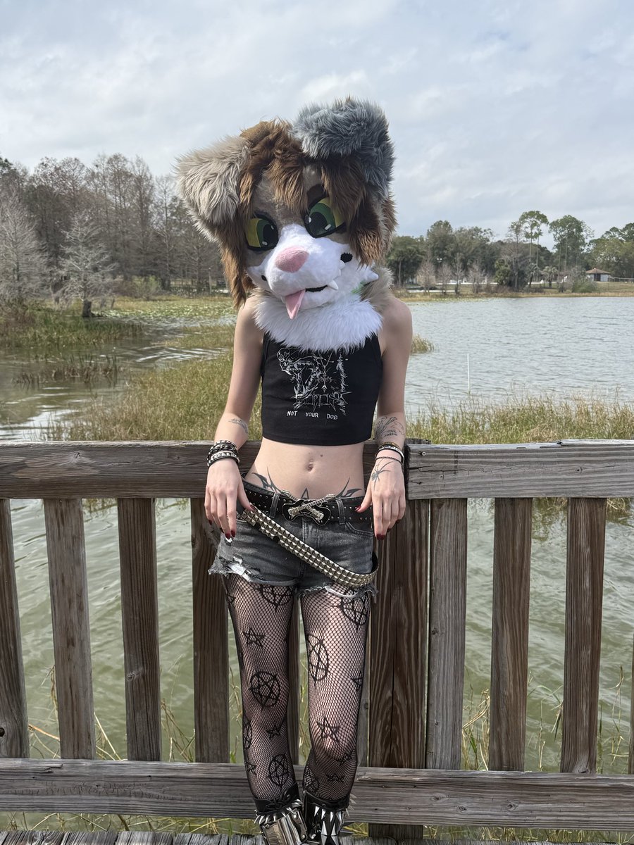 bruh_feeesh's tweet photo. late #megaplexpicnic post! https://t.co/mFhKEcBzux