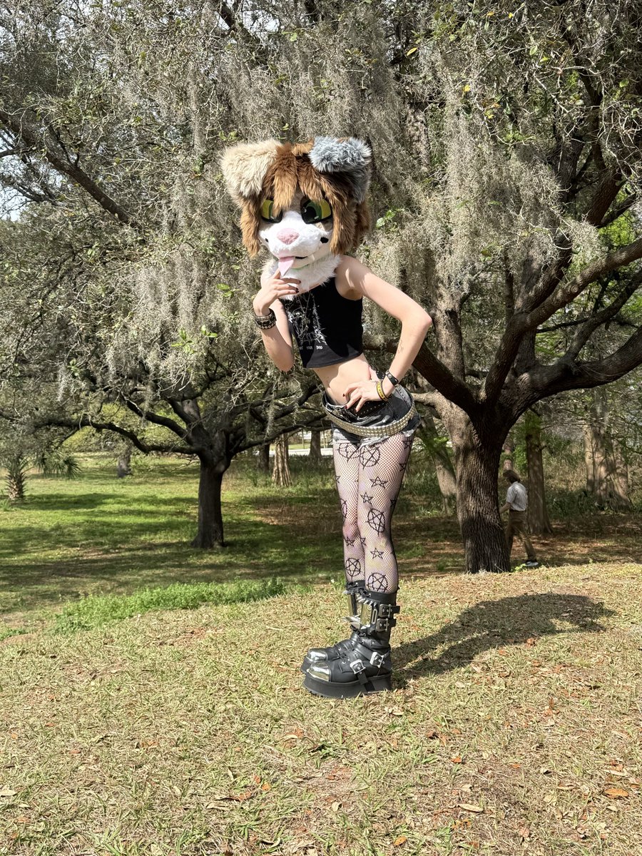 bruh_feeesh's tweet photo. late #megaplexpicnic post! https://t.co/mFhKEcBzux