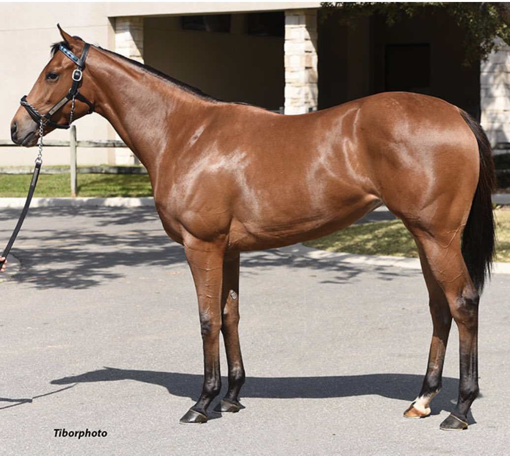 Jeff Lifson tweet media