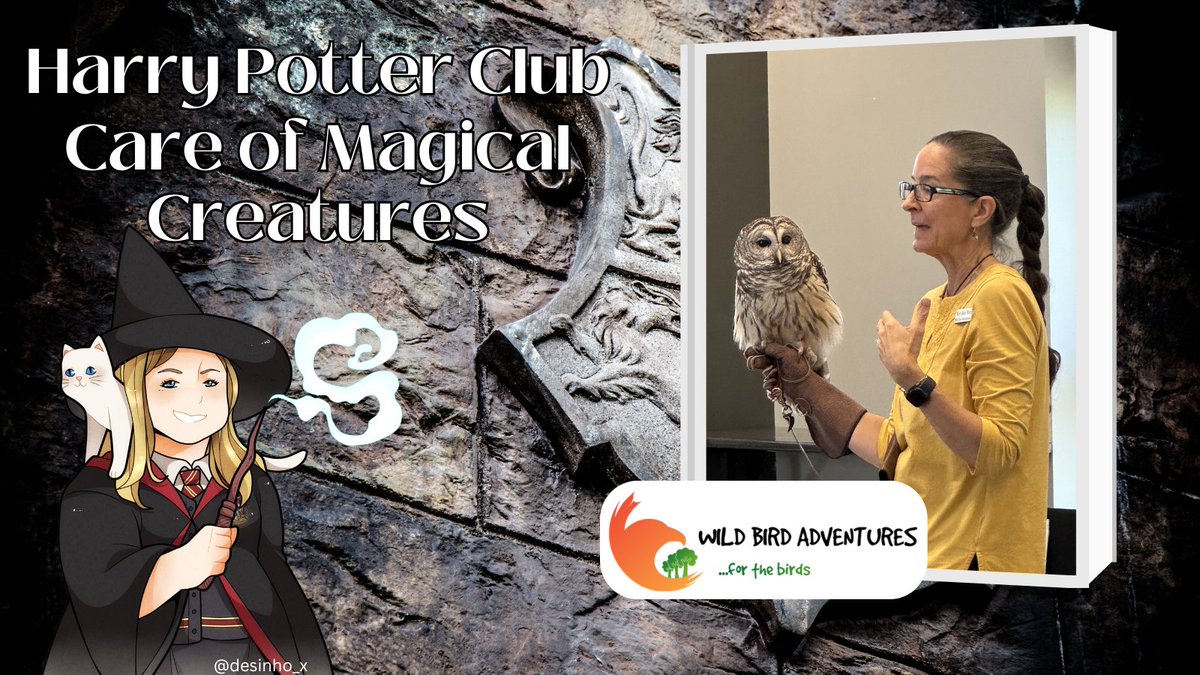 BCSPubLib's tweet image. This is a friendly reminder that witches and wizards between the ages of 8 and 17 are invited to join us at Ringer Library on March 12th at 5PM for Care of Magical Creatures with the owls from Wild Bird Adventures! #bcstx #teens #harrypotter #magicalcreatures