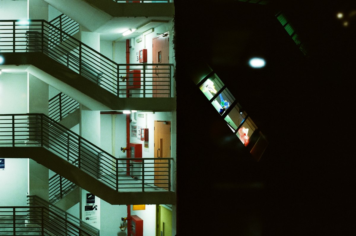 PhotoOrca tweet media