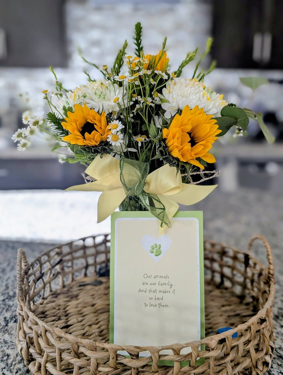 Jennifer Van Laar tweet media