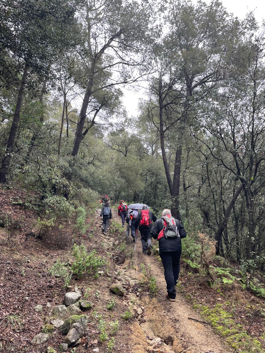 I diumenge, malgrat la pluja, tocava excursió cap al masos de #Segimon i del #Garrut des de l'ermita de Sant Blai de L'#Aleixar
La jornada va acabar amb la tradicional calçotada de la Secció!
#sommuntanya 🏞️🏡🌦️
#somcultura 📖🎨
#ForçaReus ⬛🟥
<a href="/ReusDeportiu/">Reus Deportiu</a>
📸 J.Andreu, M.Pérez