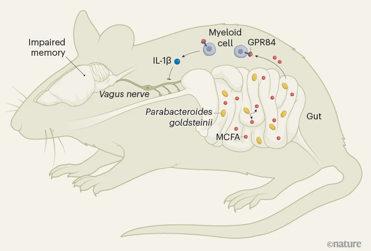 Waggoner Lab tweet media