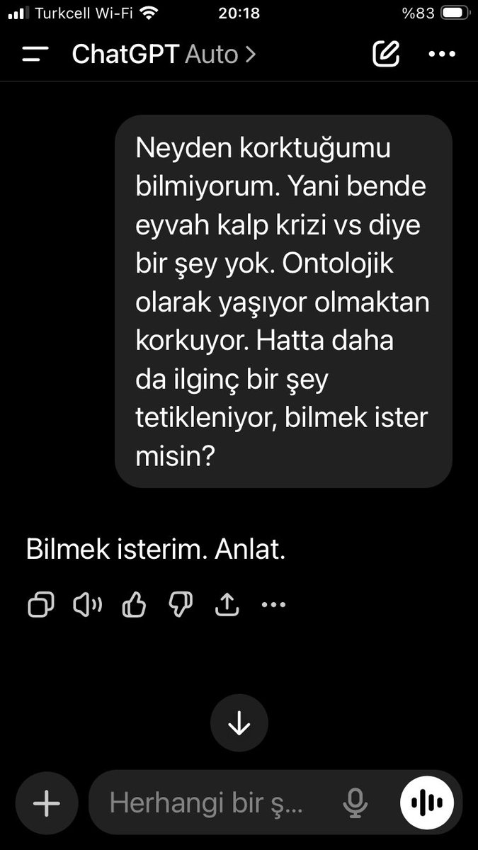 Hakan Toker tweet media