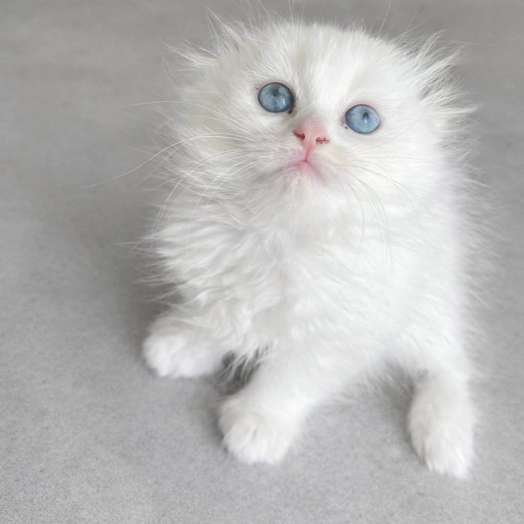 Onun sessizliği,

Onlarca insanın cümlesinden 
Daha güzeldi.