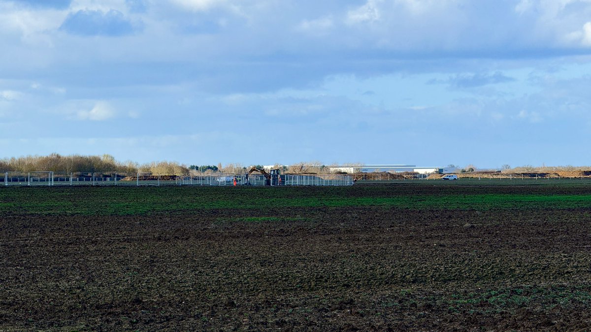 DigitalDan tweet media