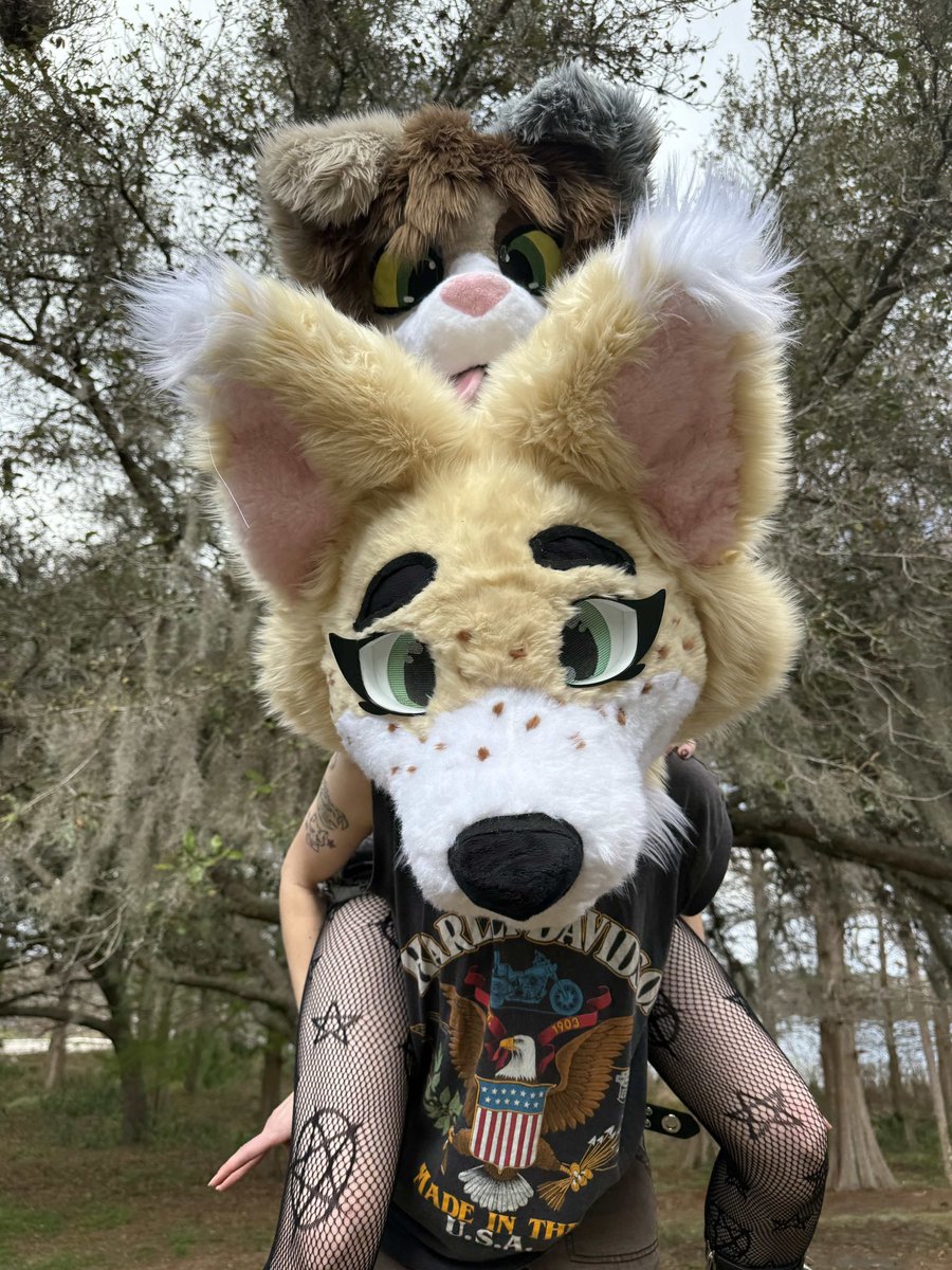 furrratz's tweet photo. Late #megaplexpicnic post! Saw pookie do one and wanted to include my favorites!! https://t.co/Z63sK2TY6W