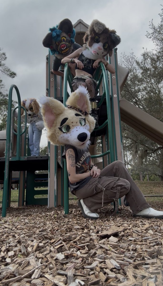 furrratz's tweet photo. Late #megaplexpicnic post! Saw pookie do one and wanted to include my favorites!! https://t.co/Z63sK2TY6W