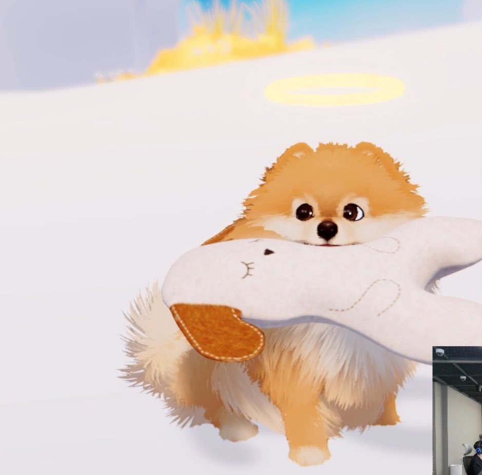 폴라포 tweet media