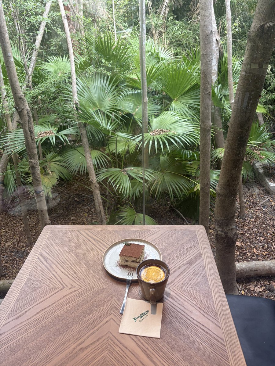 CryptoCat|猫姐🐈 tweet media