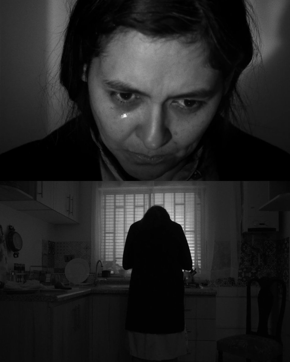 Red Salas de Cine tweet media