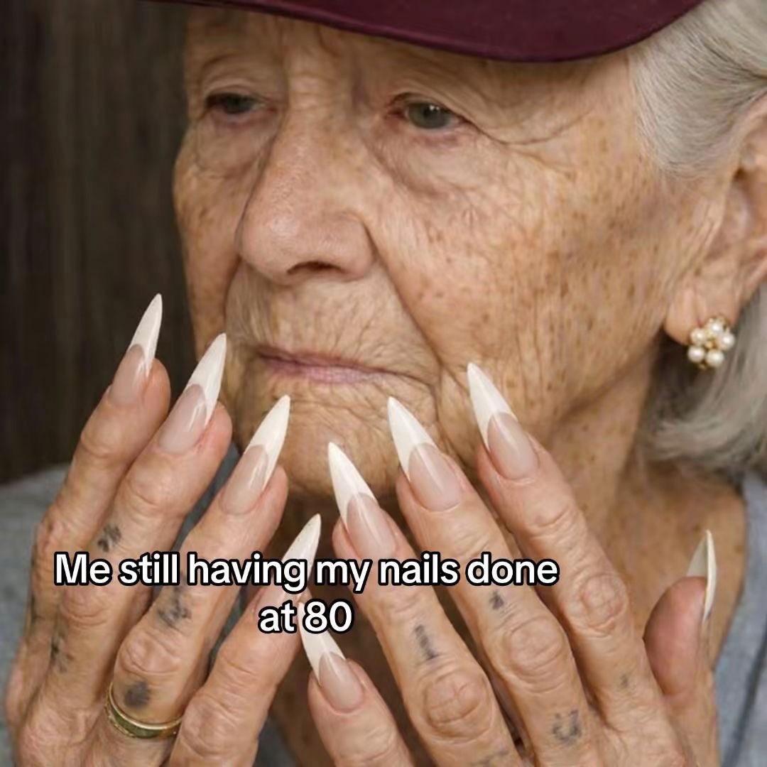 Out Of Context Animals (@animalscontexts) on Twitter photo 