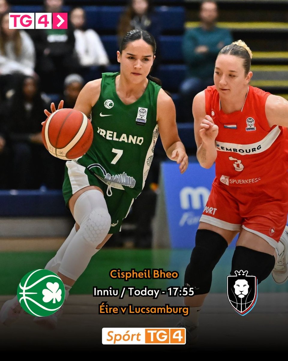 SportTG4's tweet image. Rabhadh 30 Nóiméad! 🚨

Cispheil Bheo ar @TG4TV 🏀

📅Inniu/Today
⏰17:55
🏀@BballIrl v @FLBBlux

#fiba