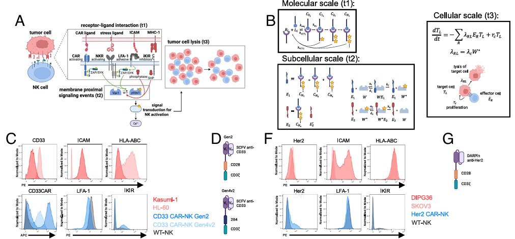 Pelotonia Institute for Immuno-Oncology tweet media